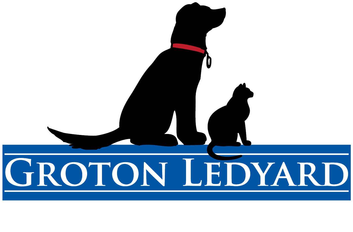 Veterinarian in Ledyard, CT Groton Ledyard Is Your Local Choice